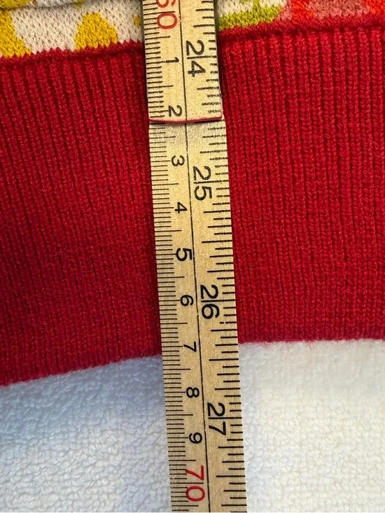 Disney Beauty and Beast Chip Cozy Cardigan Rose Knit Cottagecore - Picture 7 of 7